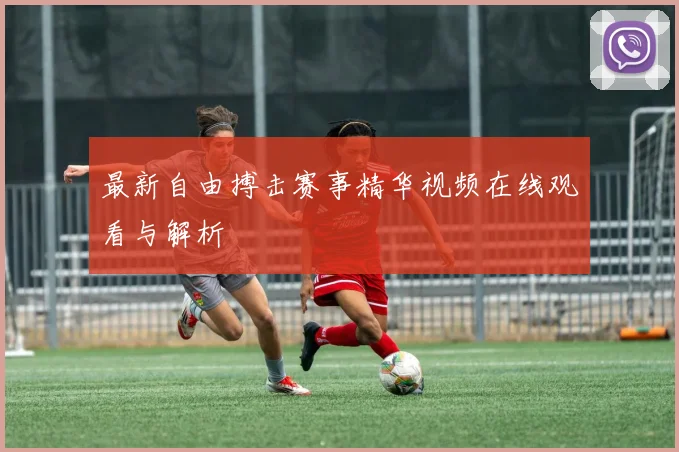 最新自由搏击赛事精华视频在线观看与解析