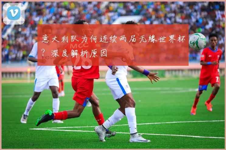 意大利队为何连续两届无缘世界杯?深度解析原因