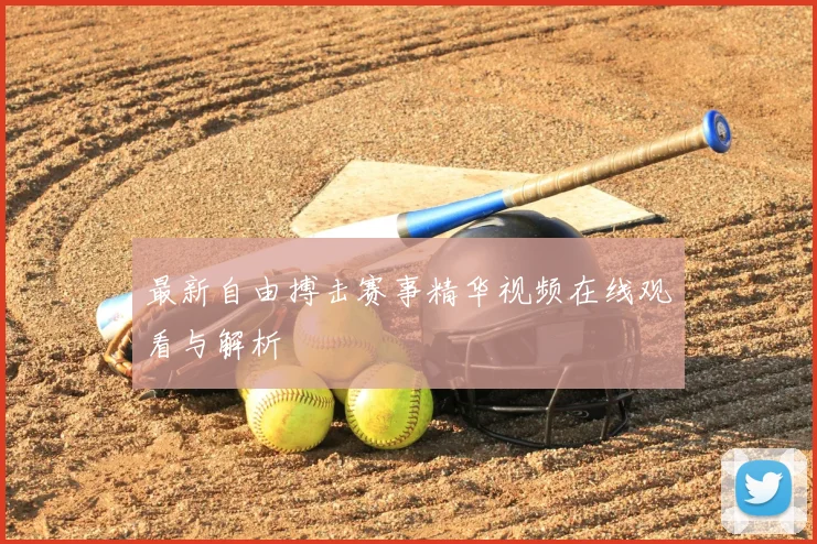 最新自由搏击赛事精华视频在线观看与解析